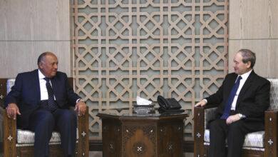 لقاء وزيري مصر وسورية مؤخراً