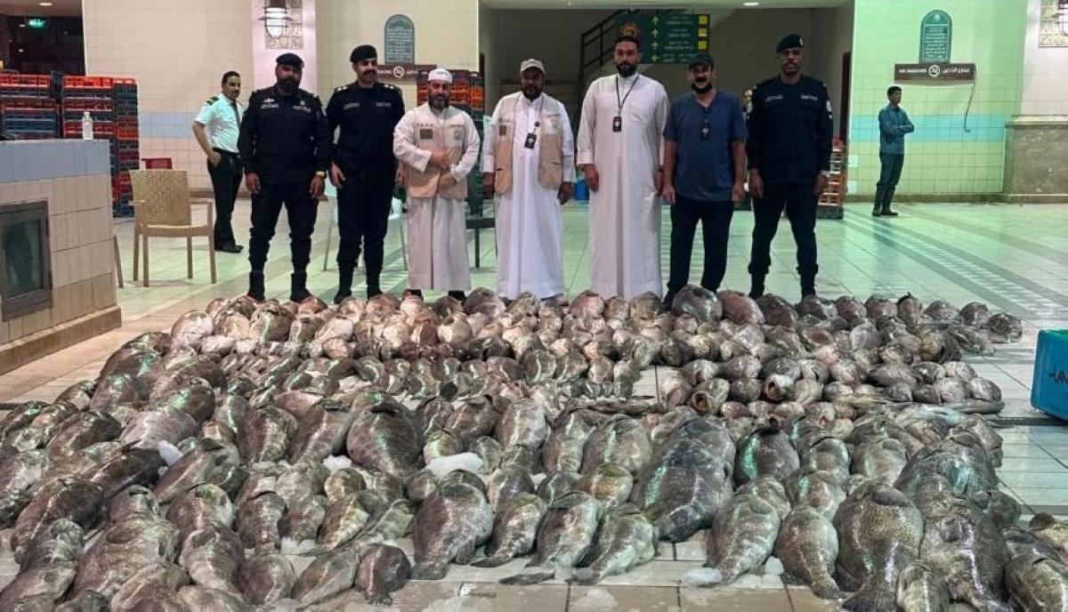 «هيئة الغذاء»: ضبط أكثر من 3 أطنان من الأسماك الفاسدة في «الواجهة البحرية»